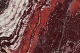 Polished Snakeskin Jasper Slab - Western Australia #221513-1